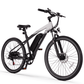 Race Electric Mountain Bike