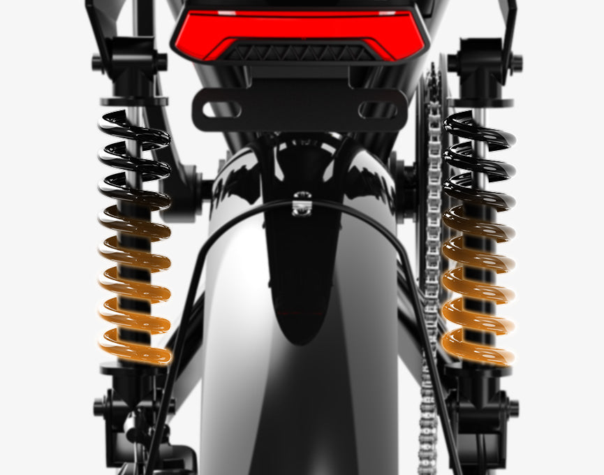 Rear Dual - Spring Shock
