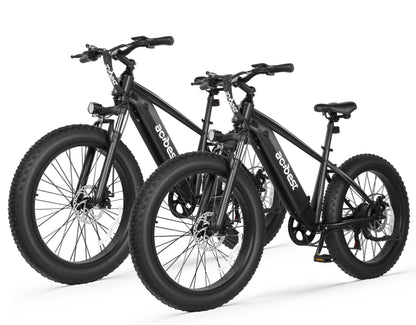 Actbest Ebike® Combo Sale Ranger*2