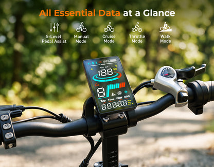 A close-up of an electric bike handlebar with a mounted digital display screen showing cycling metrics, set against a blurred outdoor path and trees. Text at the top reads 'All Essential Data at a Glance' with feature icons for pedal assist, manual mode, cruise mode, throttle mode, and walk mode.