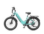 Cozy Wide Tire Step-Through Commuter Electric Bike