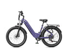 Cozy Wide Tire Step-Through Commuter Electric Bike