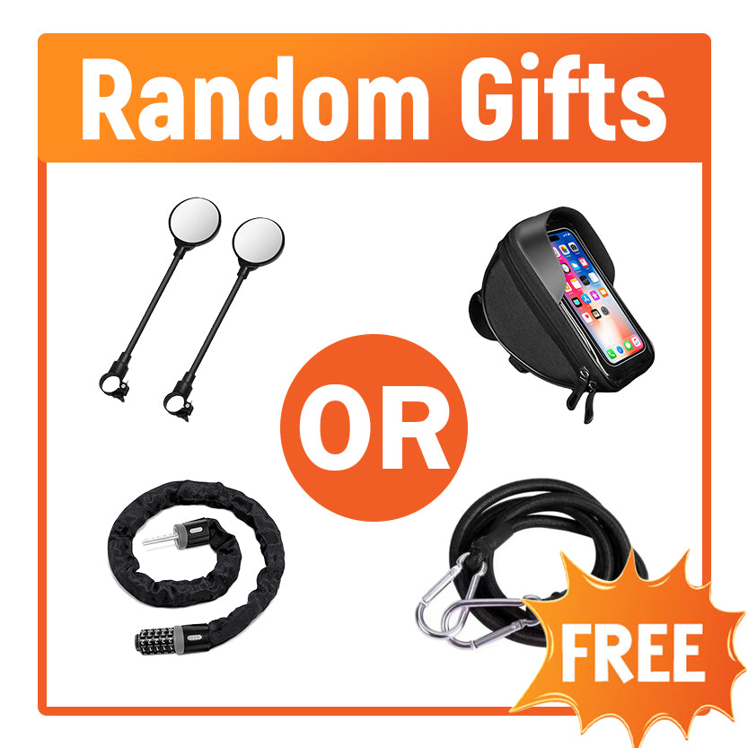 Mystery Gift Worth $39 (cargo straps,cable lock,mirrors or phone bag, 1 piece at random)