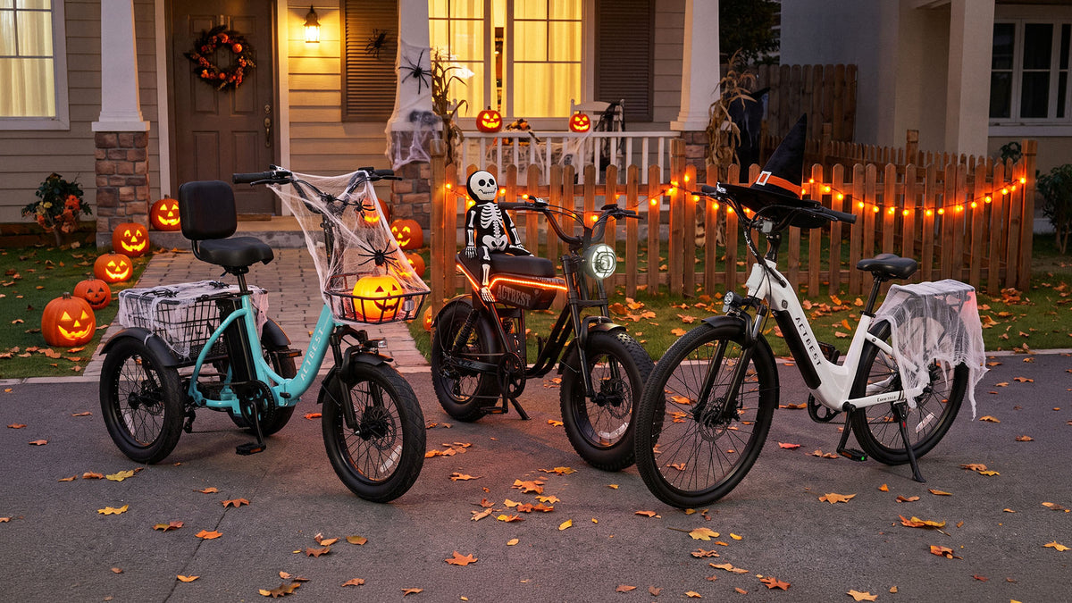 Own The Night. Ride The Season.