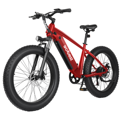Ranger All-Terrain Mountain Ebike