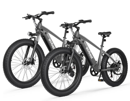 Actbest Ebike® Combo Sale Ranger*2