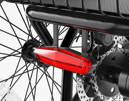 Triker Folding 3 Wheels Electric Bike