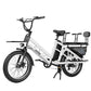 Electric Cargo Long-Range eBike