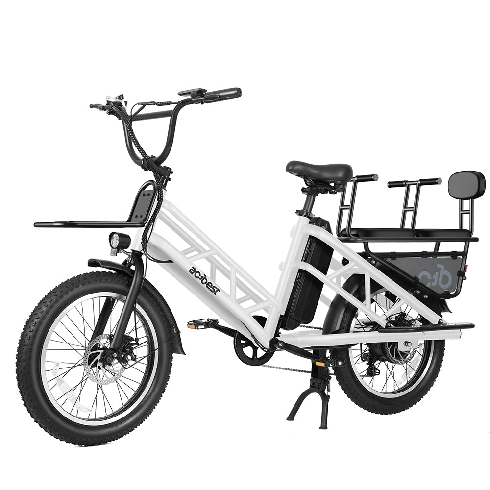 Electric Cargo Long-Range eBike