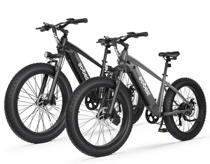Actbest Ebike® Combo Sale Ranger*2