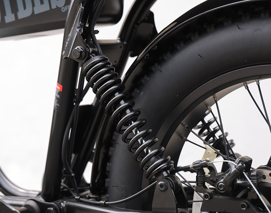  Rear Dual - Spring Shock