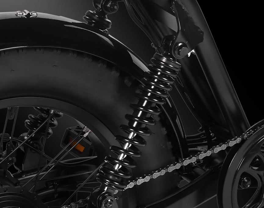  Rear Dual - Spring Shock