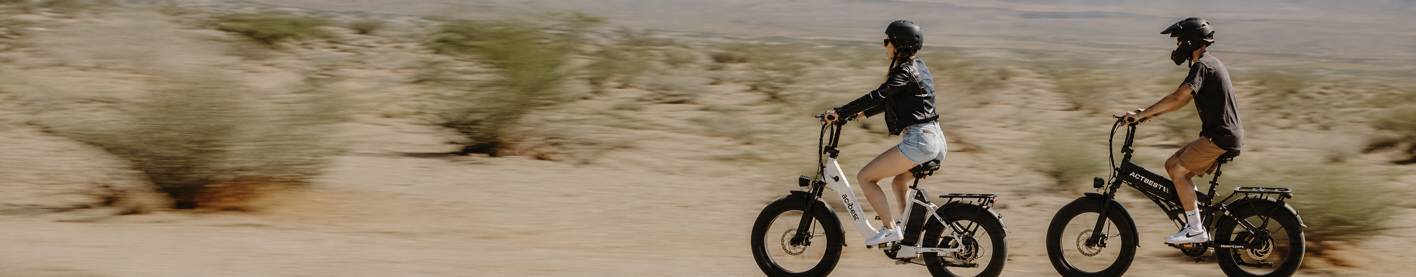 Foldable Electric Bike